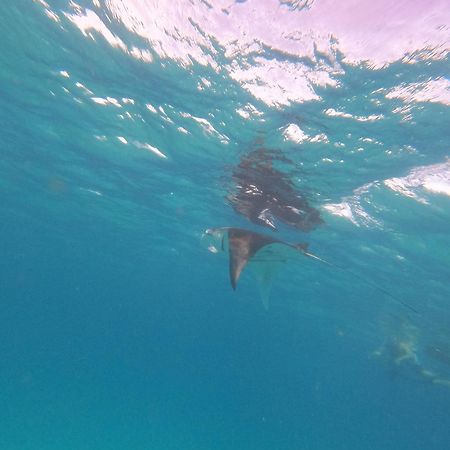 Beach Veli Ukulhas Eksteriør bilde