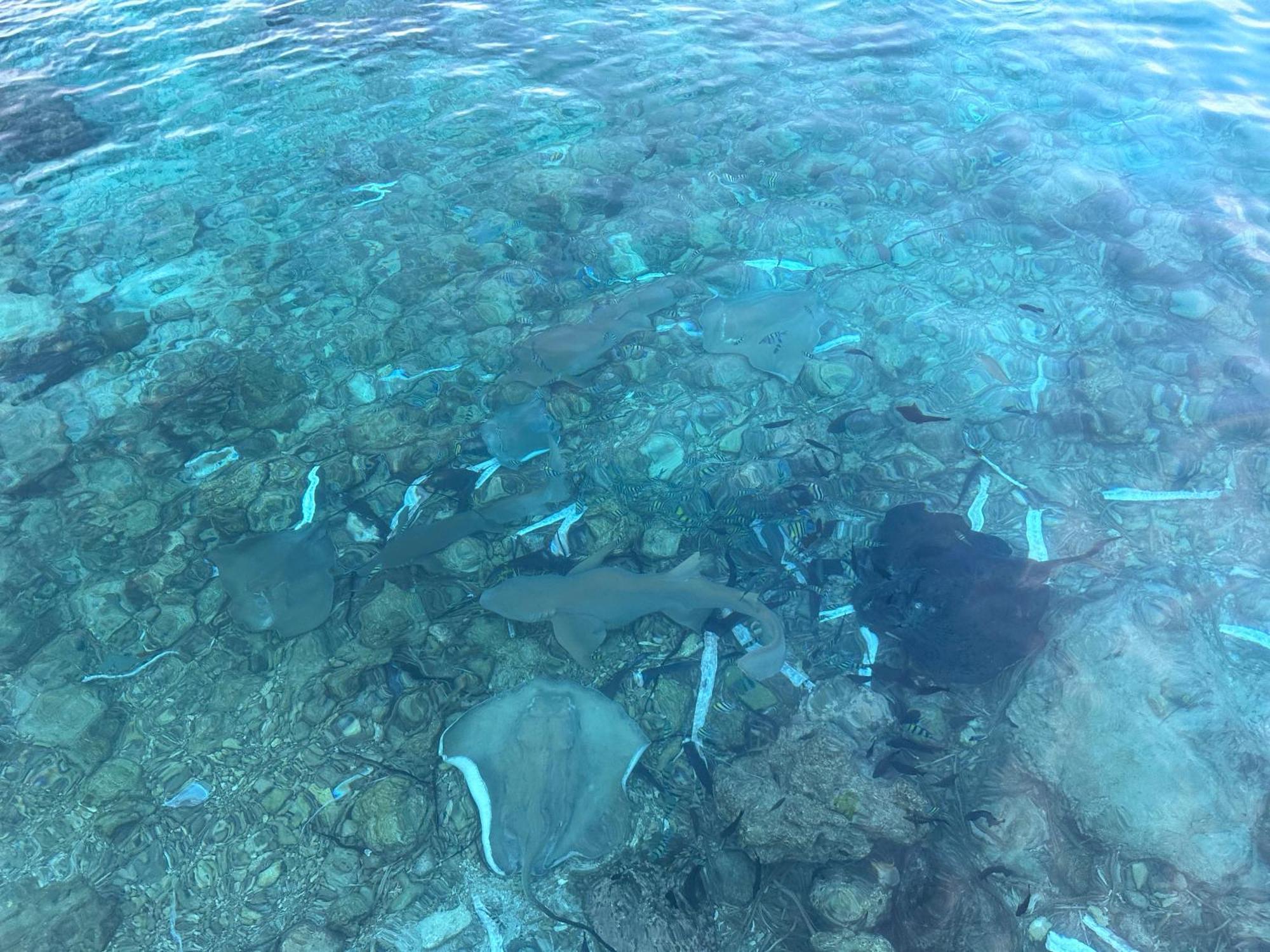 Beach Veli Ukulhas Eksteriør bilde
